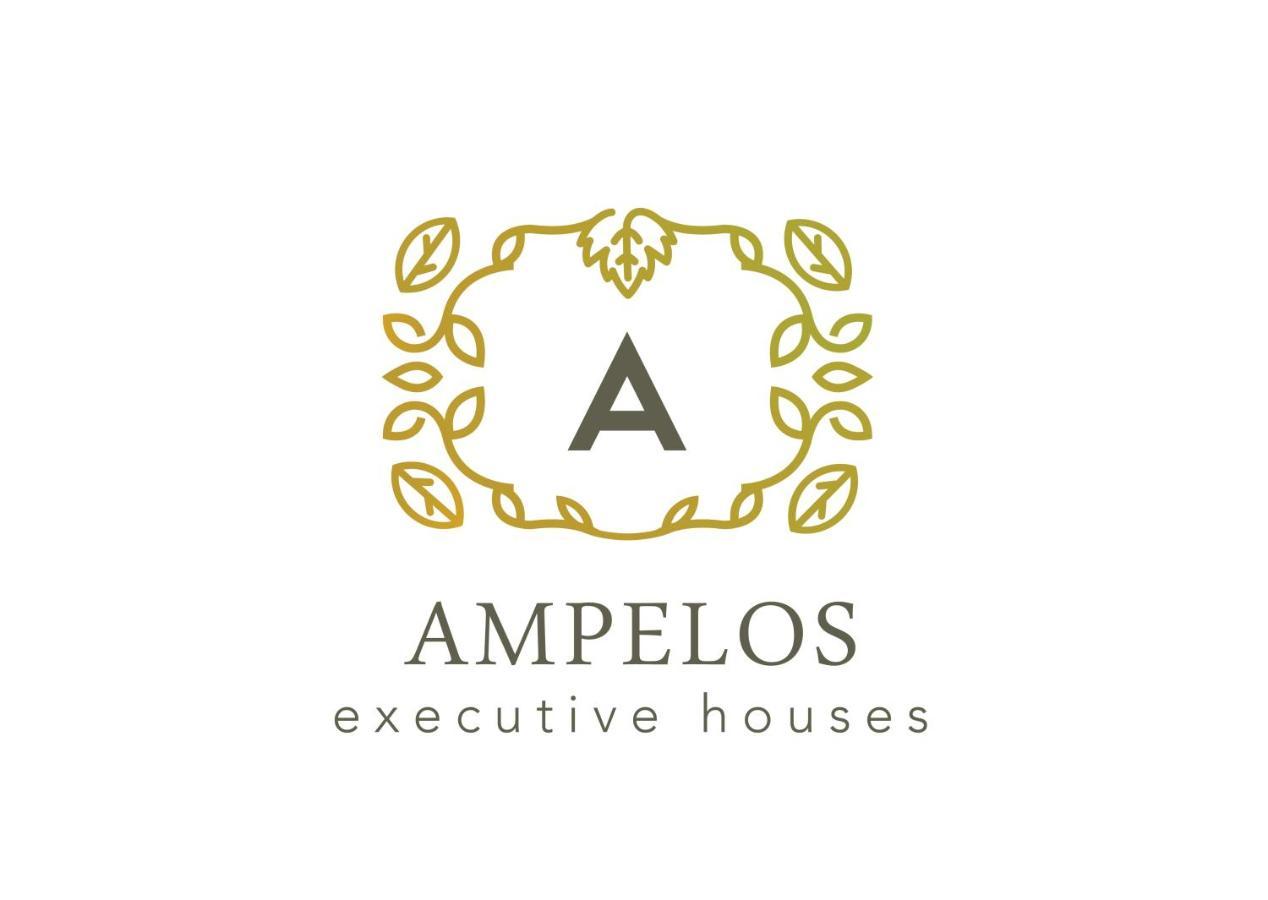 Ampelos Executive Houses Pyrgos Kallistis Exterior foto